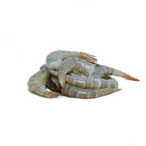 Camaron 41/50